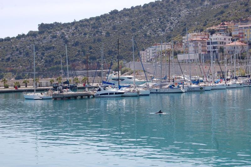 Olympos Mitos Hotel Eksteriør billede