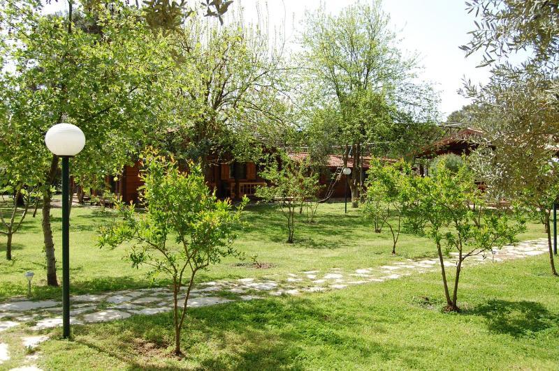 Olympos Mitos Hotel Eksteriør billede