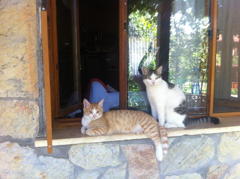 Olympos Mitos Hotel Eksteriør billede